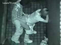 A couple is seen having sex in public on video.